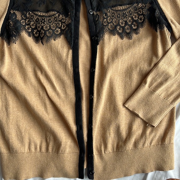 Loft Sweater with lace front - Picture 4 of 5